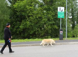 KOŠ ZA PASJE IZTREBKE V GRAHOVEM 05 FOTO LJUBO VUKELIČ